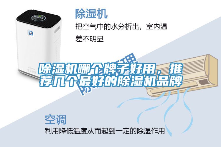 免费看操逼软件哪个牌子好用，推荐几个最好的免费看操逼软件品牌