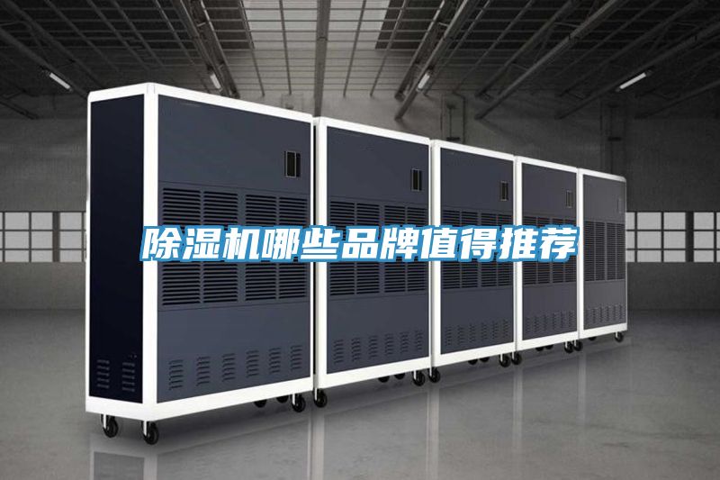 免费看操逼软件哪些品牌值得推荐